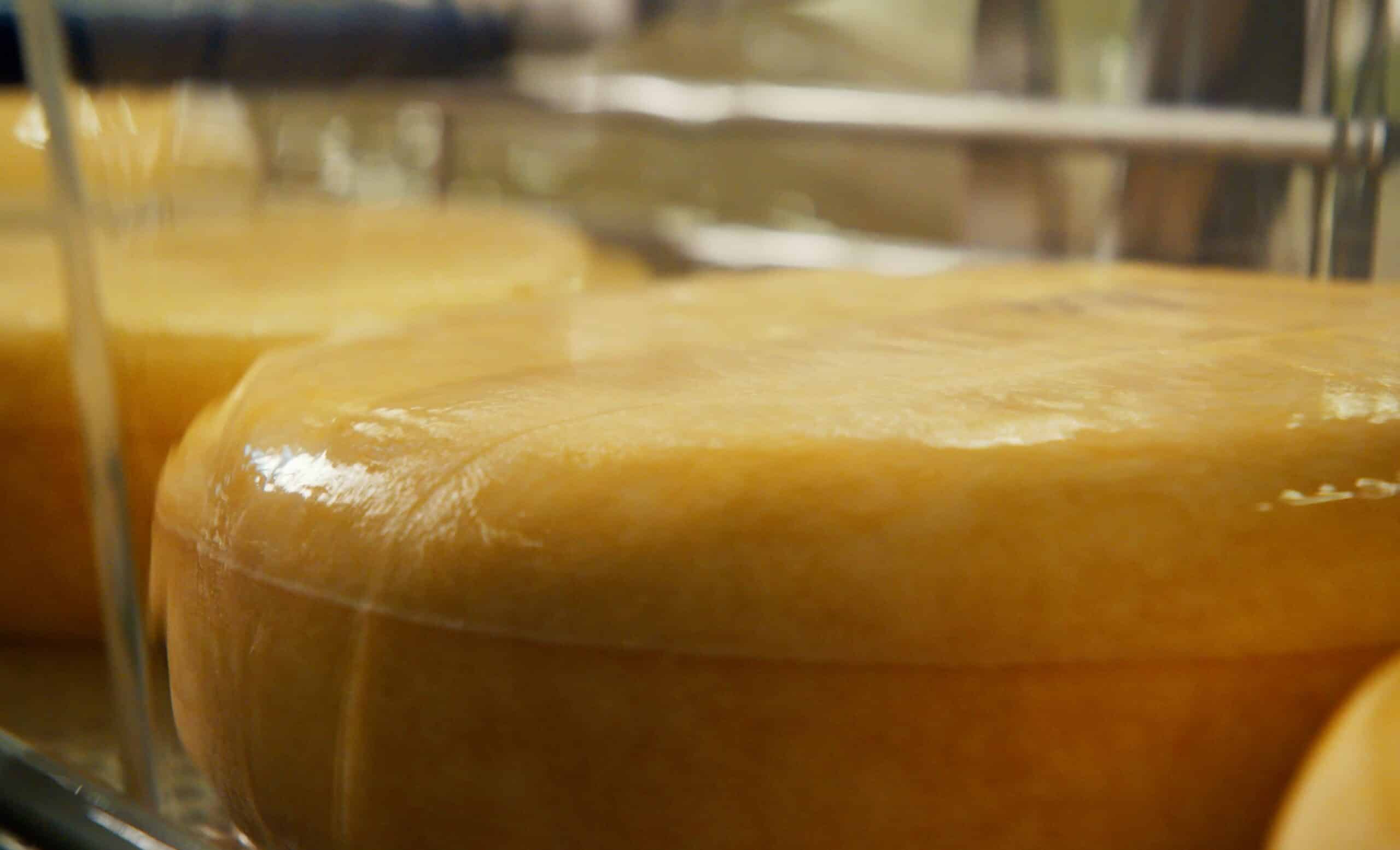 Onze verantwoordelijkheid